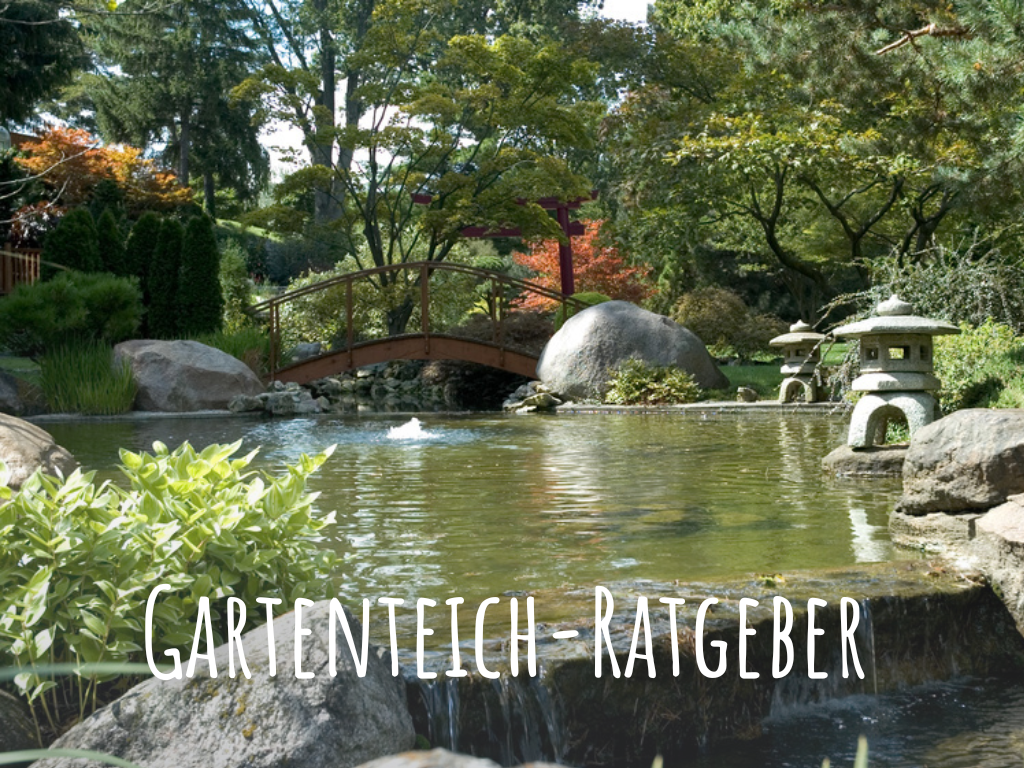 Gartenteich Shop Dr. Teichmann Teichfilter, Teichpflanzen & Teichbau